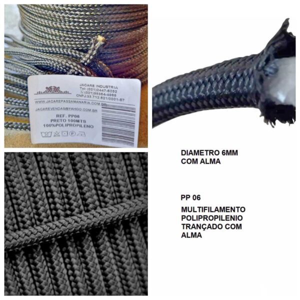 PP06